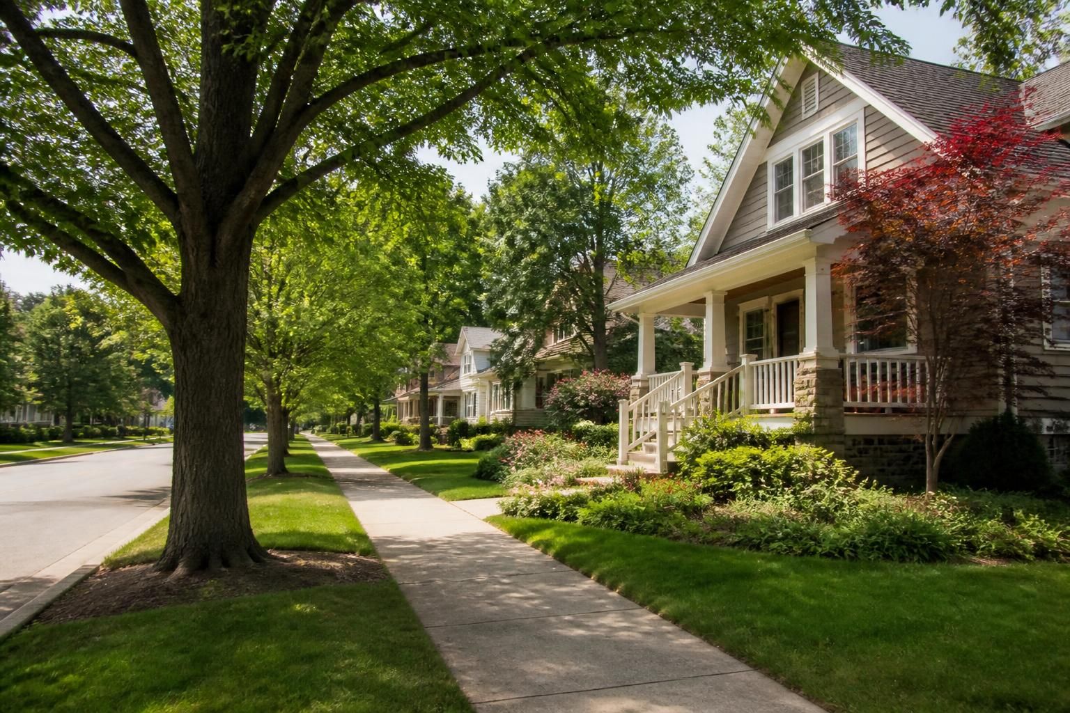 Serene Haslett residential area with trees, sidewalks, and a clean feel.